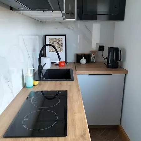 Uroczy W Centrum Krakowa Lägenhet Kraków