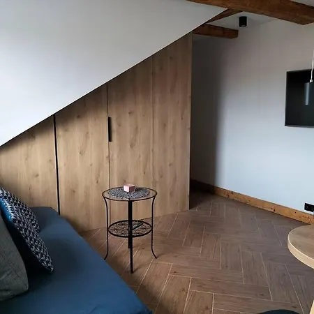 Appartement Uroczy W Centrum Krakowa